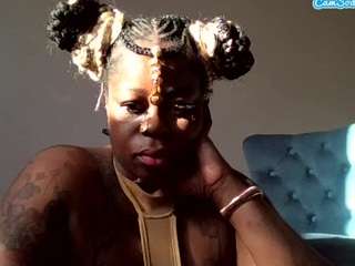 stalliontheesavage webcam