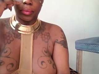 stalliontheesavage webcam