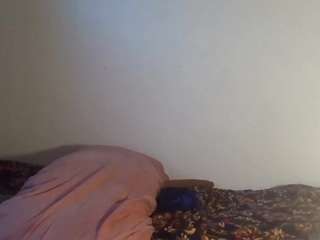 stalliontheesavage webcam