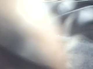 stalliontheesavage webcam