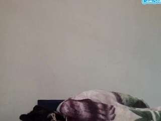 stalliontheesavage webcam