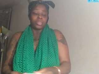 stalliontheesavage webcam