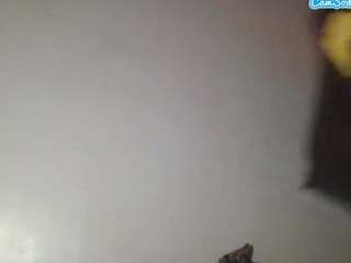 stalliontheesavage webcam