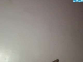 stalliontheesavage webcam