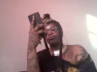 stalliontheesavage webcam