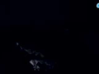 stalliontheesavage webcam