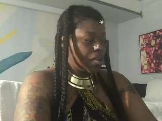 stalliontheesavage webcam