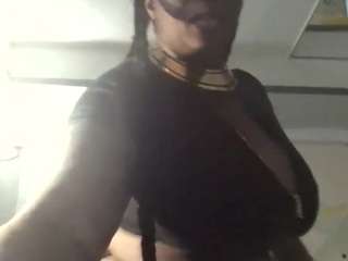 stalliontheesavage webcam