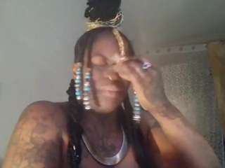 stalliontheesavage webcam