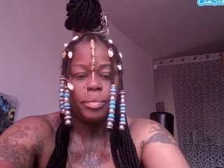 stalliontheesavage webcam