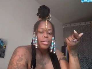 stalliontheesavage webcam