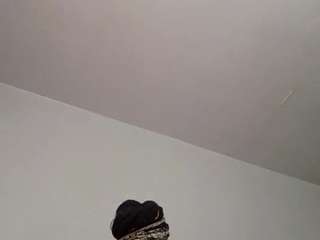 stalliontheesavage webcam