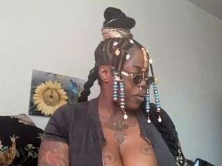 stalliontheesavage webcam