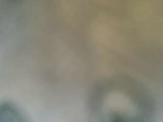 stalliontheesavage webcam