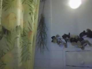 stalliontheesavage Sex Cam Show