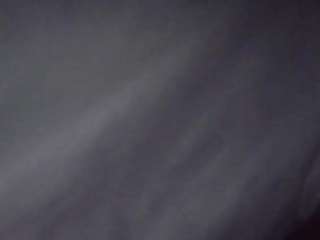 stalliontheesavage