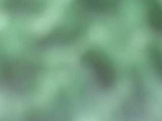 AFRICA THEE SAVAGE