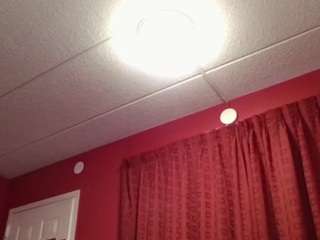 stalliontheesavage's live room