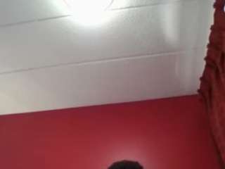 stalliontheesavage