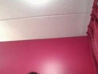 stalliontheesavage