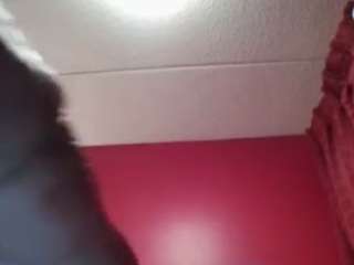 stalliontheesavage