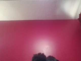 stalliontheesavage