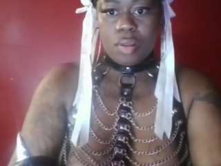 stalliontheesava... Live Webcam on CamSoda
