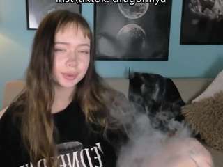 DragonFlya