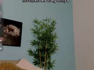DragonFlya