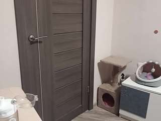 jeseniacerrato