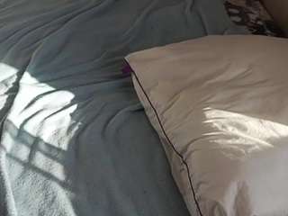 JeseniaCerrato