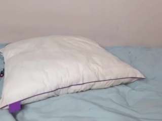 jeseniacerrato