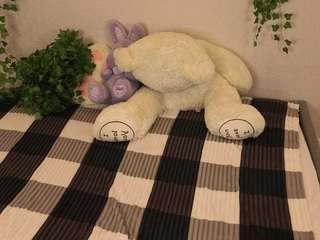 TinyLili