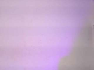 sweetbloomcs