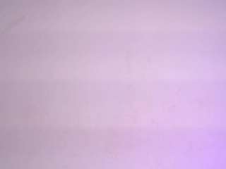 sweetbloomcs