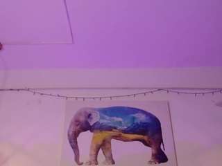 sweetbloomcs