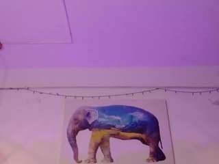 sweetbloomcs