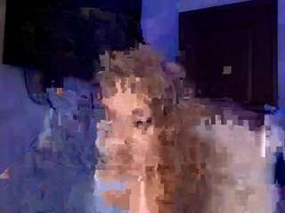 kevinseeley