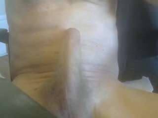 Cute Muscled Anaconda