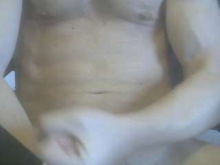 Cute Muscled Anaconda