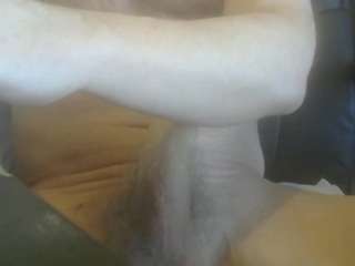 Cute Muscled Anaconda