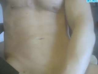 Cute Muscled Anaconda