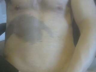 Cute Muscled Anaconda