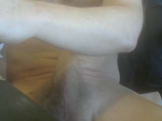 Cute Muscled Anaconda