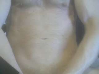 Cute Muscled Anaconda