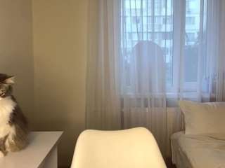 freedamimozo Sex Cam Show