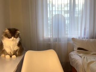 freedamimozo Sex Cam Show