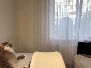 freedamimozo Sex Cam Show