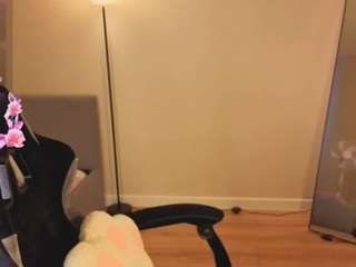 kittyliikk
