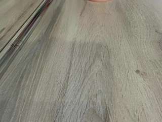 zeniaarguello